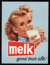 Blogartikel - Voedng voor botten_afb melk is goed voor elk